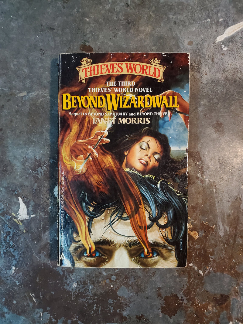 Thieves' World 3: Beyond Wizardwall - Janet Morris